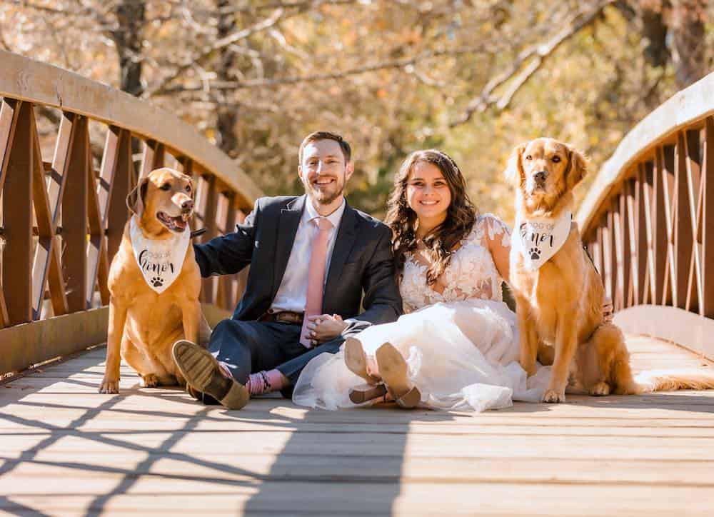 Stefan-McFall-Photography-couple-with-dogs