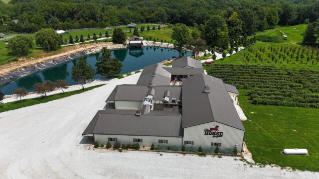 Big-Horse-Vineyards-aerial-View