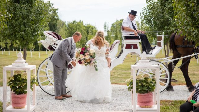 Big-Horse-Vineyards-horse-and-carriage