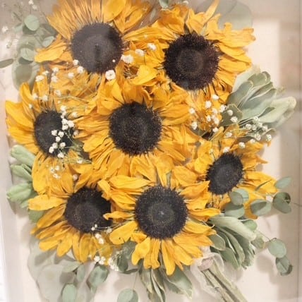 Pressing-Petals-Sunflowers