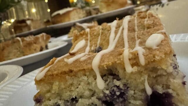 Wedding-Pic-12-Blueberry-Lemon-Blondies-closeup-copy