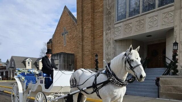 big-horse-power-farm-carriages